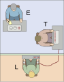 Milgram experiment v2.svg (19 times)