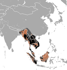 Phạm vi phân bố (nâu – hiện tại, đen – trước đây, xám sẫm – không chắc chắn)