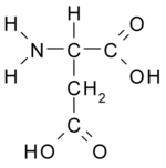 Chemical structure of Aspartic acid