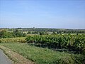 Paysage vallonné près de Barzan