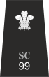 Gwent Special Constable rank insignia