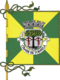 Flagge des Concelhos Tondela