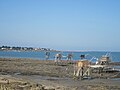 Pêcheries à Tharon-Plage