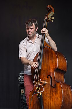 Ani DiFranco – Rudolstadt Festival 2017