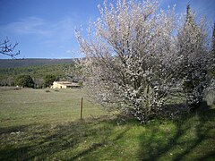 Ferme « Bastide Le Colombier »depuis la chapelle.