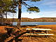 Picnic table with pond