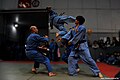 Môn sinh Vovinam thực hiện động tác bay người tấn công từ trên không