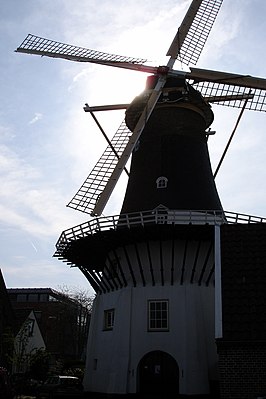 Windlust te Wassenaar