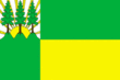 Vlag