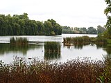 Pantano en el pueblo de Neslukhiv.