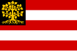 Vlag van 's-Hertogenbosch