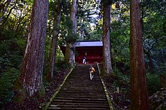 鳳来寺参道と仁王門