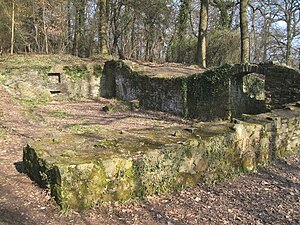 Ruïne Burg Rodenburg