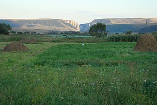 Crăiești