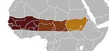 Afrikakarte, markiert ist ein etwa 1000 km breiter, horizontal verlaufender Bereich, der sich vom Cap Vert bis zur Ostgrenze des (Landes) Sudan zieht. Drei verschiedene Zonen sind ausgewiesen: die Bereiche im Sudan und Südsudan, die im Tschad, in Niger und Nigeria sowie die Bereiche weiter westlich bis zur Küste.