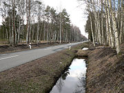 Schnurgerade Straße durch das Moor