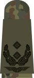 Oberstleutnant (flecktarn)