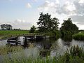 Natuurgebied Willeskop en de Bloklandse Dijk