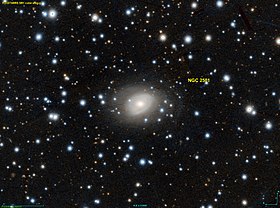 Image illustrative de l’article NGC 2501