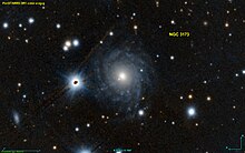 NGC 3173 PanS.jpg