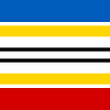 Flag of Piatykhatky