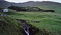 Bosque Viðarlundin á Vági.