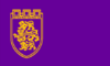 Flag of Veliko Tarnovo