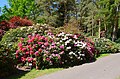 Rhododendronpark Hobbie