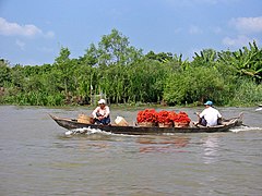 Đồng bằng sông Cửu Long.