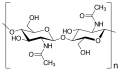 Molecular Structure of Chitin