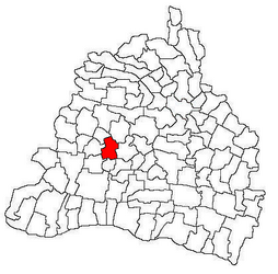 Location in Dolj County