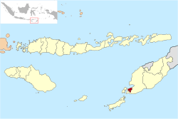 Location within East Nusa Tenggara