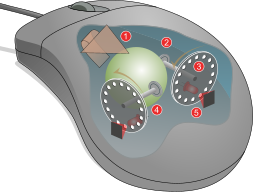 Schéma d’une souris filaire à boule, dispositif de pointage pour ordinateur inventé en 1963 par Douglas Engelbart. (image vectorielle)