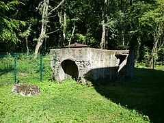 Remains of the fan.