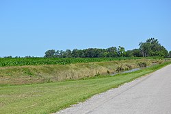 South Turkeyfoot Creek along County Road 8