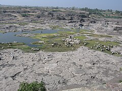 Des bergers sur le cour asséché de la Godavari. Deux des grands fleuves de l'Inde méridionale prennent leur source au Maharashtra.