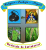 Official seal of Castañuelas