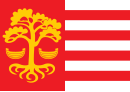 Drapeau de Ville de Loksa