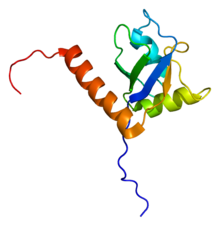 Protein SSB PDB 1owx.png