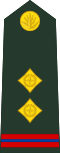 OR-8 insignia