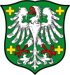 Wappen von Grünstadt