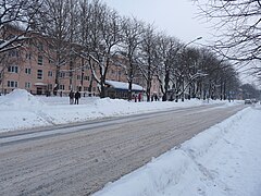 Arrêt Angerja des lignes de tramway 1 et 2.