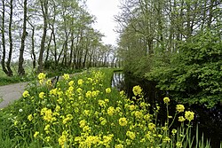 Opvaart van Eestrum naast de Marwei (Meerweg)