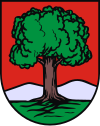 Wappen von Wałbrzych