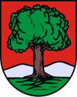 Wałbrzych címere