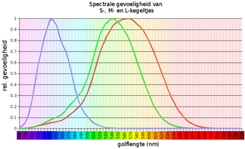 Spectrale gevoeligheid van kegeltjes