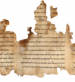 Image 3Portion of the Temple Scroll, one of the Dead Sea Scrolls written by the Essenes (from History of Israel)