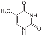 Timina o 5-Metil-uracilo