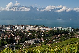 Vy över Vevey