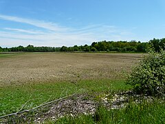 Etangs en vidange.